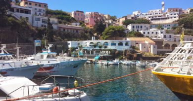 marina yachting palermo lavora con noi