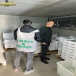 Stazione navale di Messina, la GdF sequestra 500kg di novellame ittico