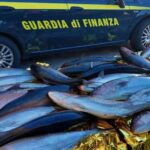 Palermo, pesca in area marina protetta: maxi sequestro della GdF